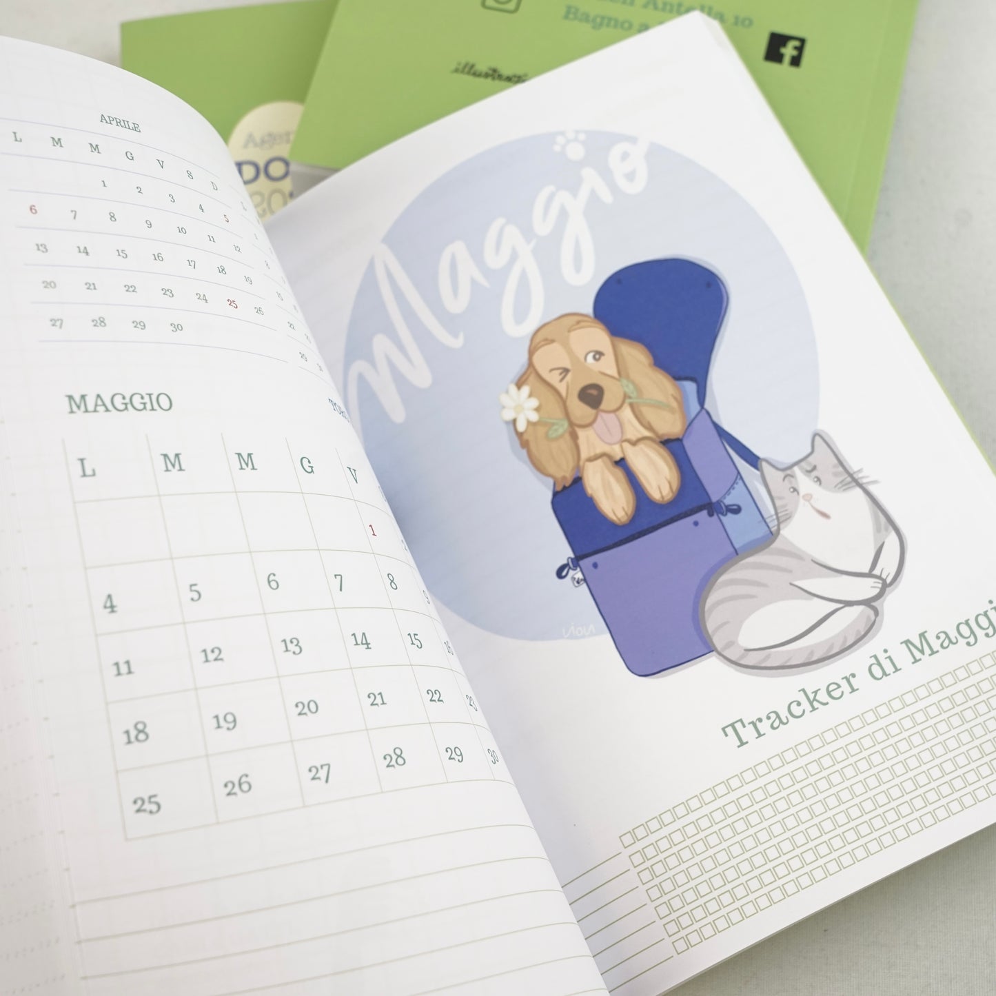 AGENDA 16 MESI
