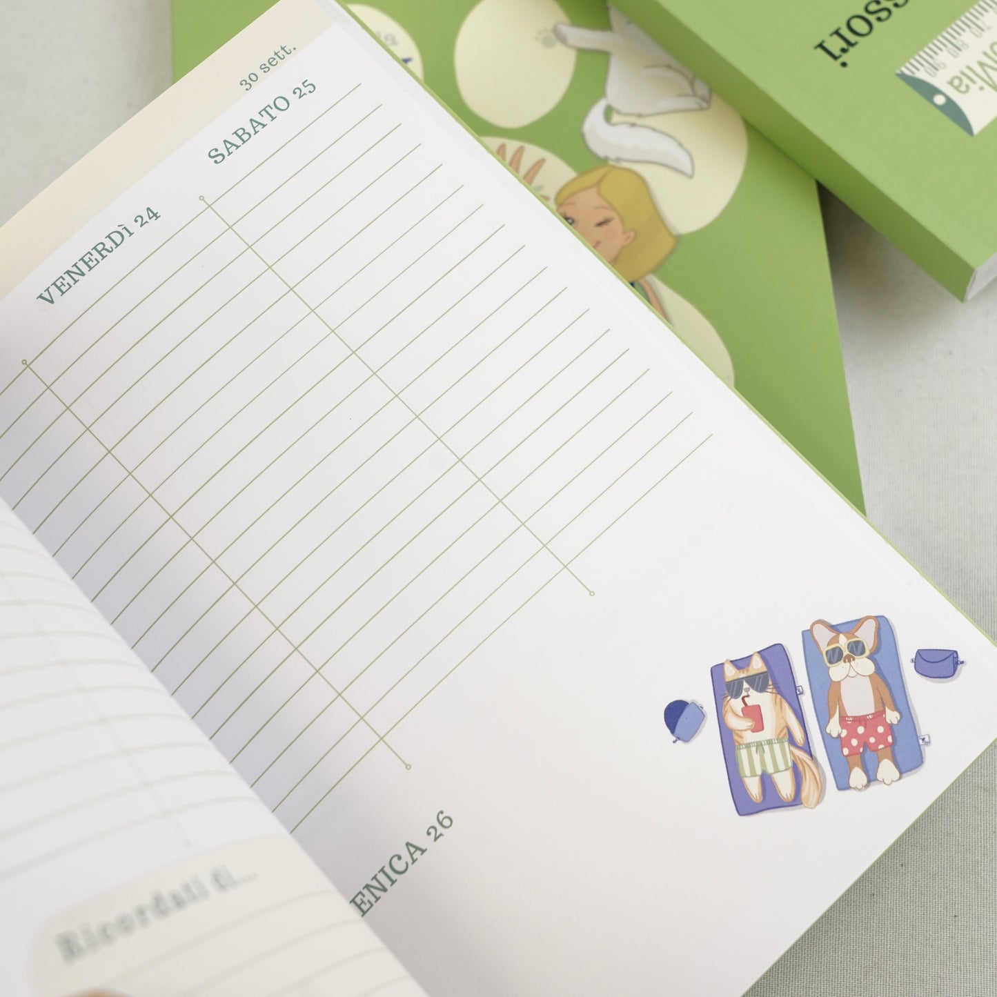 AGENDA 16 MESI