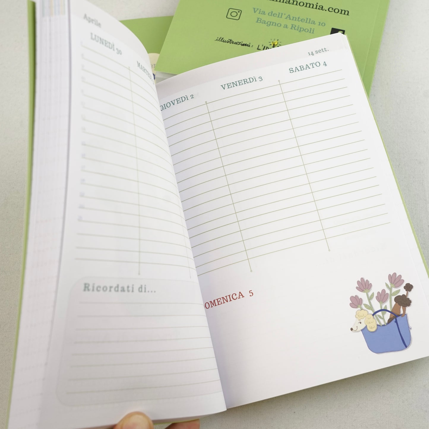 AGENDA 16 MESI