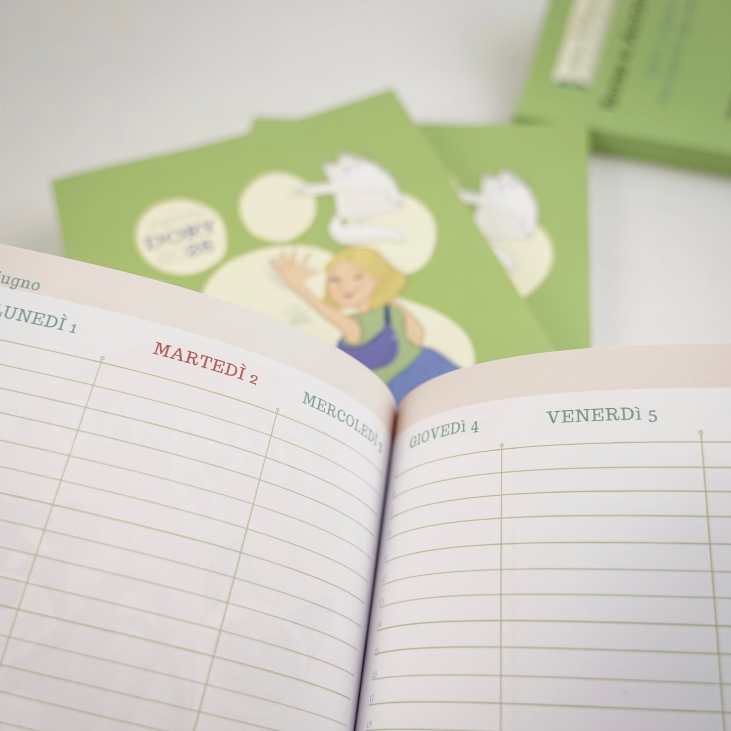 AGENDA 16 MESI