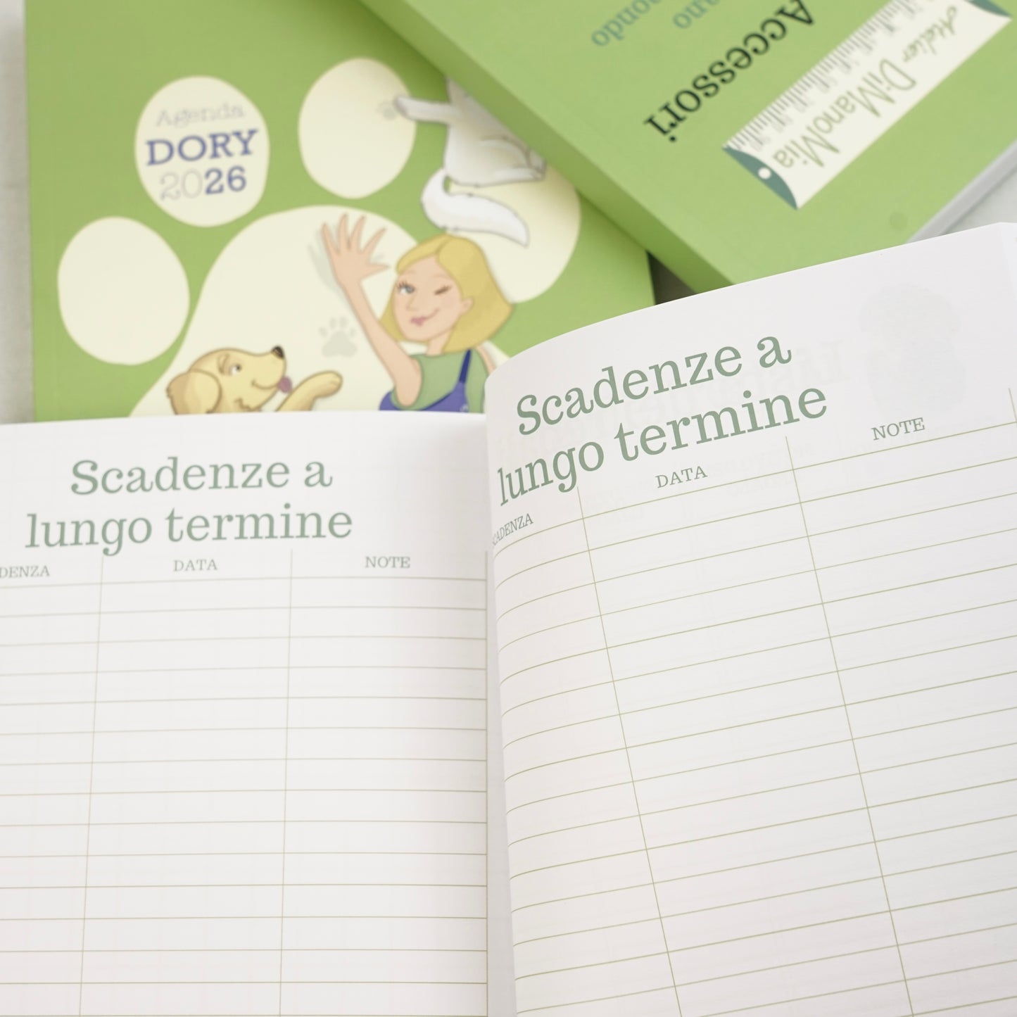 AGENDA 16 MESI