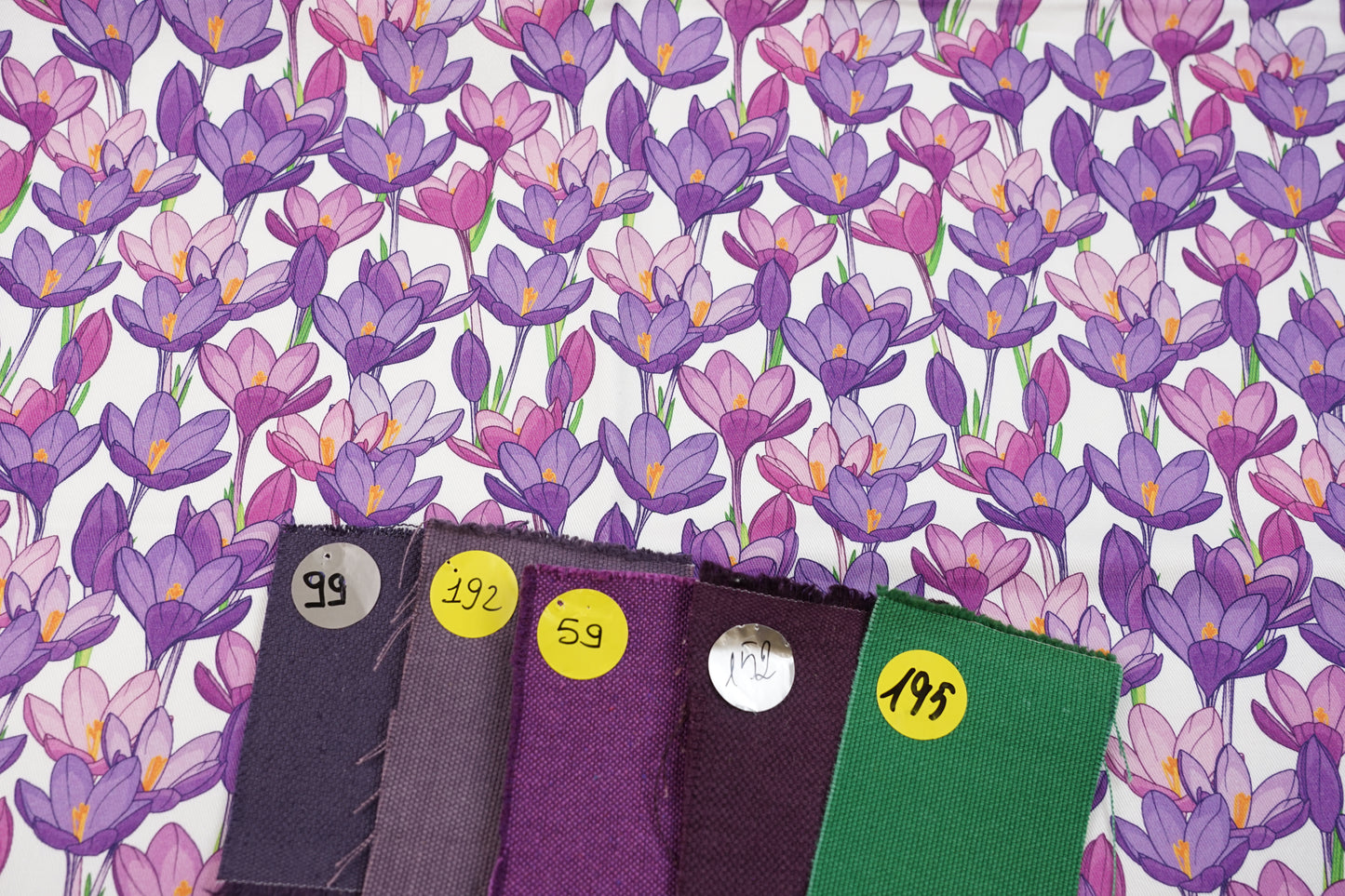 CREA IL TUO PERSONALIZZATO