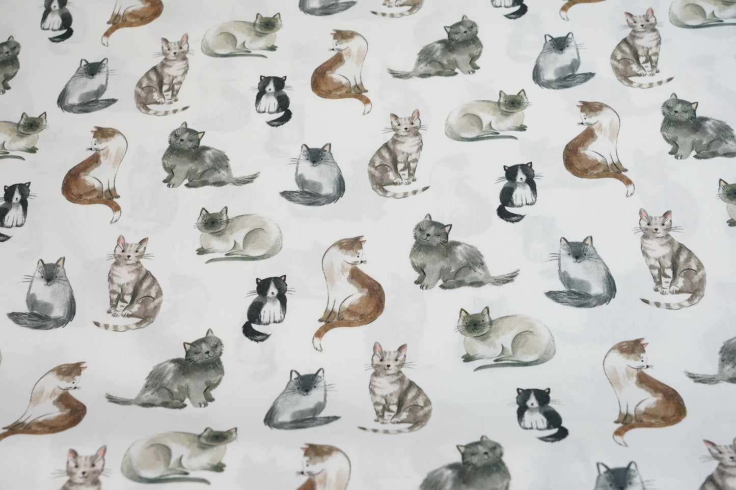 CREA IL TUO PERSONALIZZATO