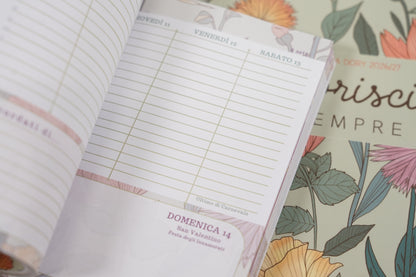 AGENDA Dory 2026/27